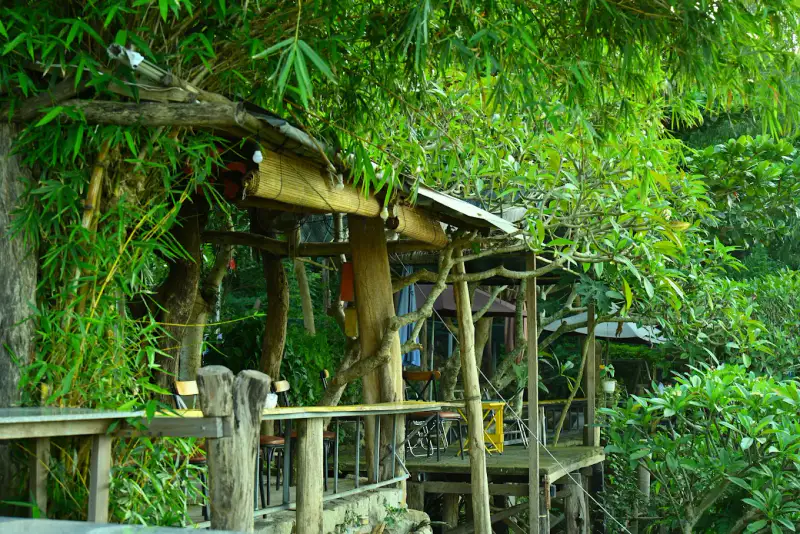 Cafe Hải Đăng Xưa - ảnh 4